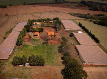 Imagem 1 · Fazenda