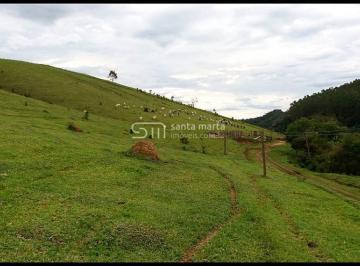 Imagem 1 · Fazenda para venda em Centro, Silveiras