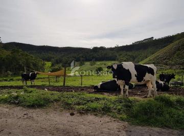 Imagem 1 · Fazenda