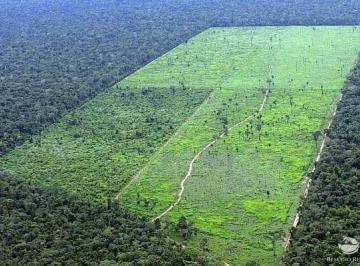 Imagem 1 · Fazenda para venda em Centro, Rorainópolis