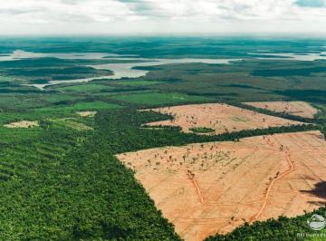 Imagem 1 · Fazenda