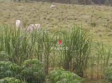 Imagem 1 · Fazenda