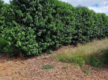 Imagem 1 · Fazenda