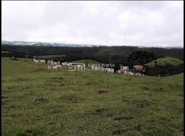Imagem 1 · Fazenda