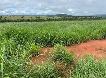 Imagem 1 · Fazenda