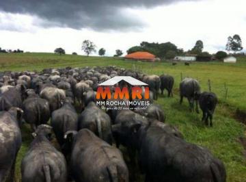 Imagem 1 · Fazenda