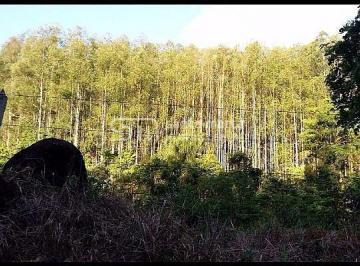 Imagem 1 · Fazenda