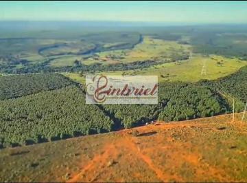 Imagem 1 · Fazenda