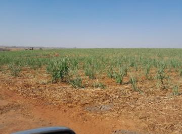 Imagem 1 · Fazenda