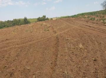 Imagem 1 · Fazenda
