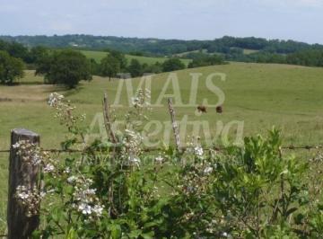 Imagem 1 · Fazenda