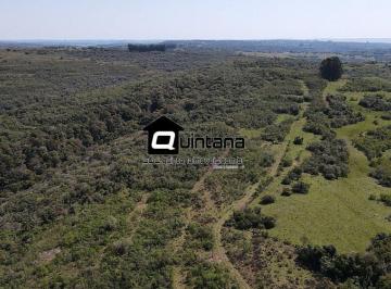 Imagem 1 · Fazenda