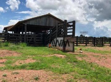 Imagem 1 · Fazenda