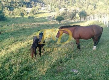 Imagem 1 · Fazenda