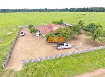 Imagem 1 · Fazenda