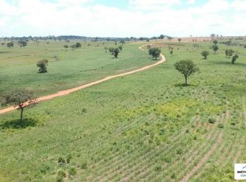 Imagem 1 · Fazenda