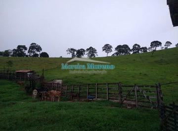 Imagem 1 · Fazenda