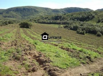 Imagem 1 · Fazenda