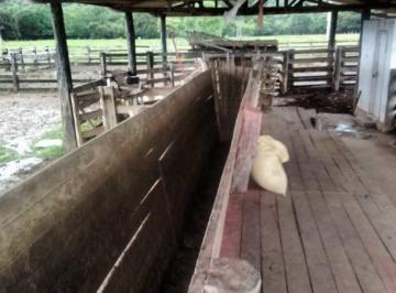 Imagem 1 · Fazenda para venda em Cáceres