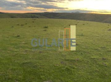 Imagem 1 · Fazenda