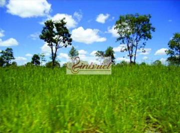 Imagem 1 · Fazenda