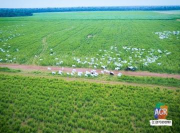Imagem 1 · Fazenda