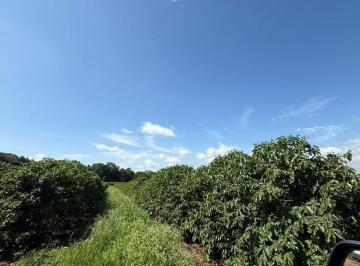 Imagem 1 · Fazenda para venda em Centro, Piumhi