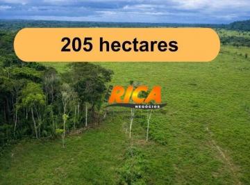 Imagem 1 · Fazenda