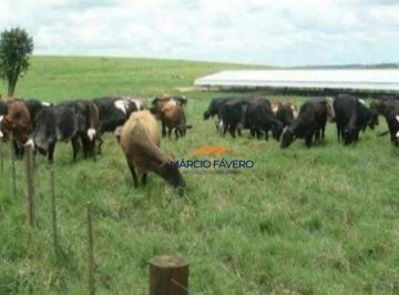Imagem 1 · Fazenda