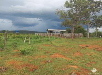 Imagem 1 · Fazenda