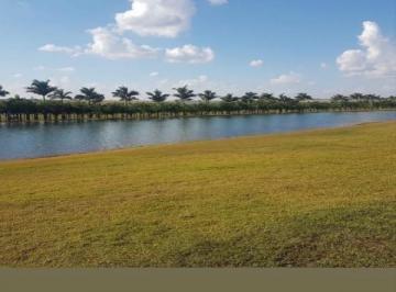 Imagem 1 · Fazenda