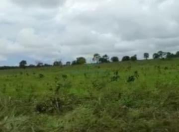 Imagem 1 · Fazenda
