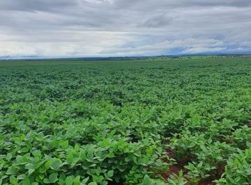 Imagem 1 · Fazenda