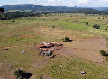 Imagem 1 · Fazenda