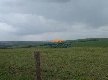 Imagem 1 · Fazenda
