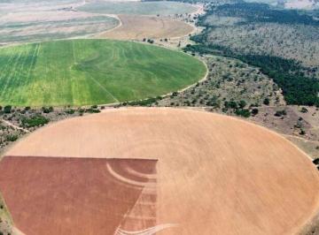 Imagem 1 · Fazenda