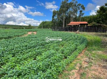 Imagem 1 · Fazenda