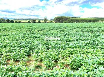 Imagem 1 · Fazenda