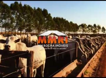 Imagem 1 · Fazenda