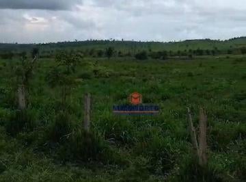 Imagem 1 · Fazenda