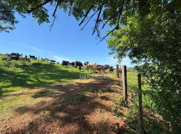 Imagem 1 · Fazenda para venda em Irerê, Londrina