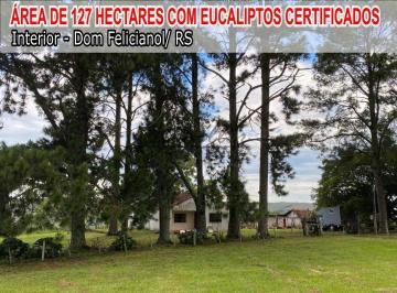 Imagem 1 · Fazenda