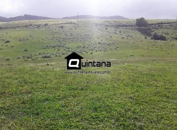 Imagem 1 · Fazenda para venda em Centro, Pinheiro Machado