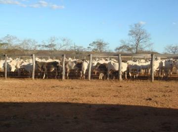 Imagem 1 · Fazenda