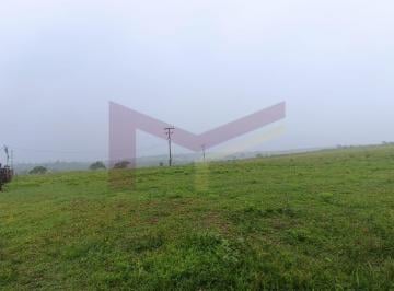 Imagem 1 · Fazenda