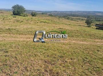 Imagem 1 · Fazenda para venda em Centro, Pinheiro Machado