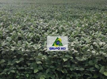 Imagem 1 · Fazenda para venda em Água Boa