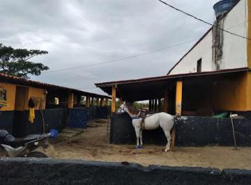 Imagem 1 · Haras e Área Rural Padrão