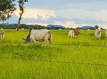 Imagem 1 · Fazenda