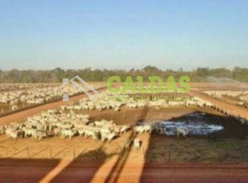 Imagem 1 · Fazenda